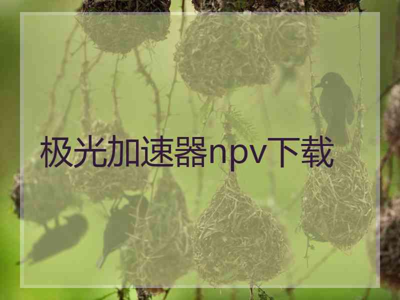 极光加速器npv下载