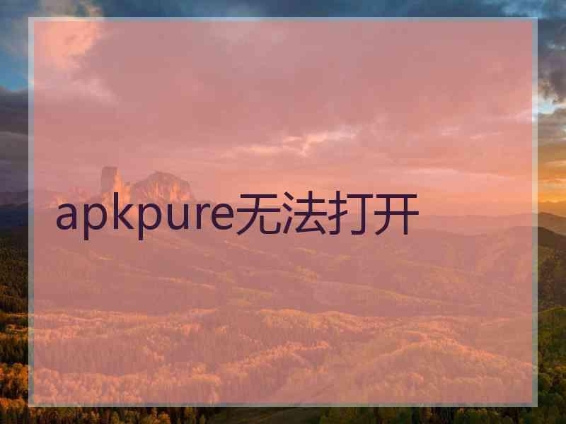 apkpure无法打开