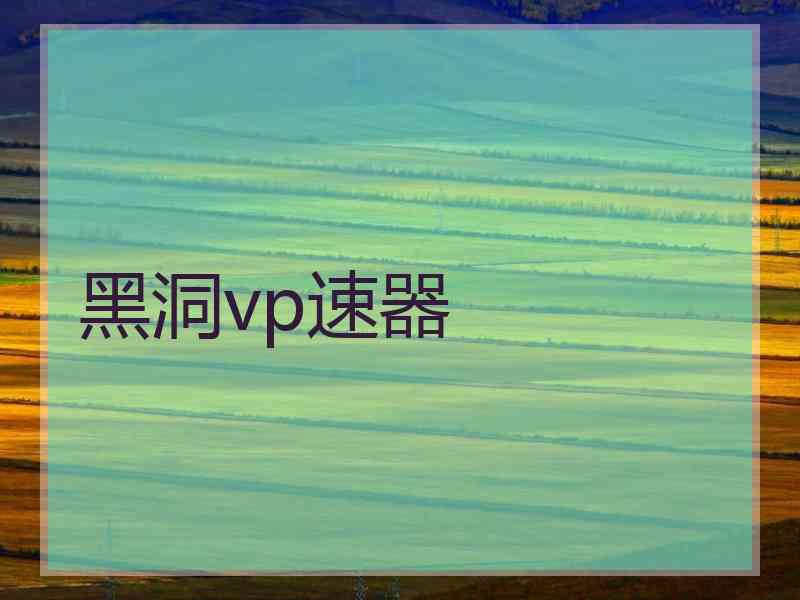 黑洞vp速器