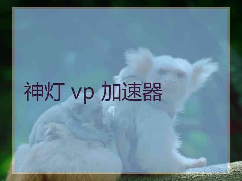 神灯 vp 加速器