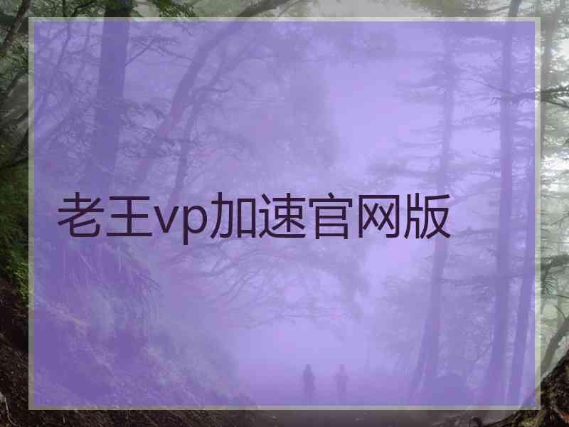 老王vp加速官网版