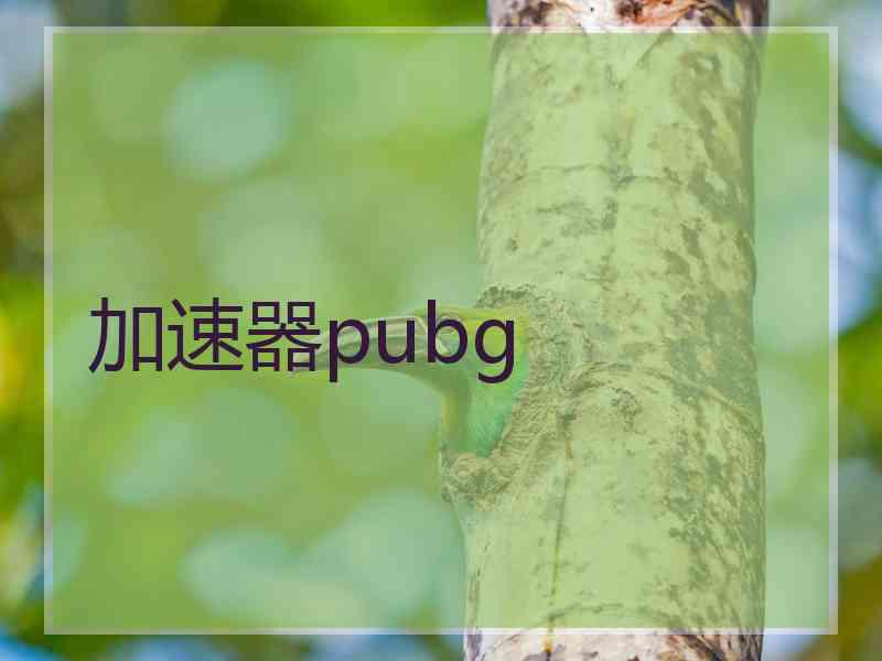 加速器pubg