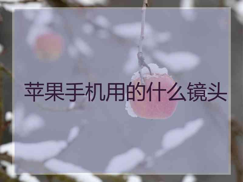 苹果手机用的什么镜头