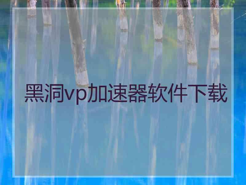 黑洞vp加速器软件下载