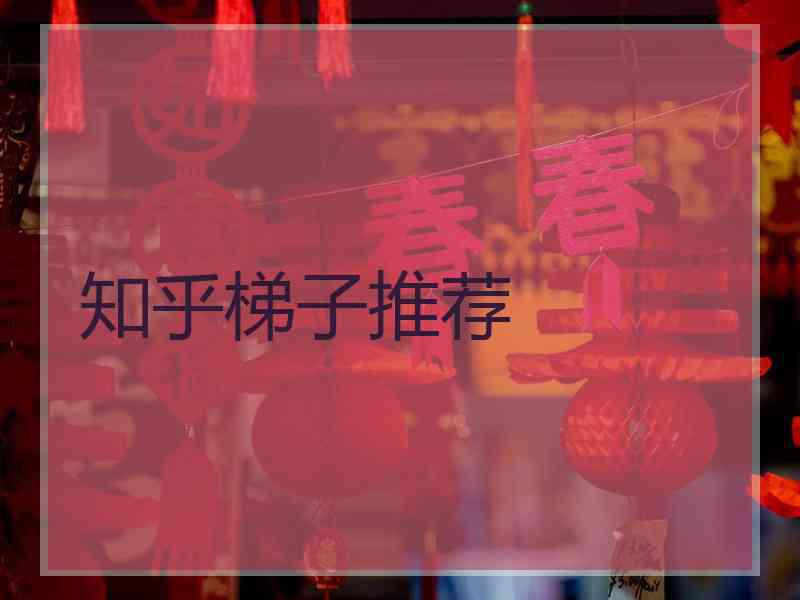 知乎梯子推荐