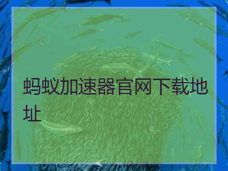 蚂蚁加速器官网下载地址