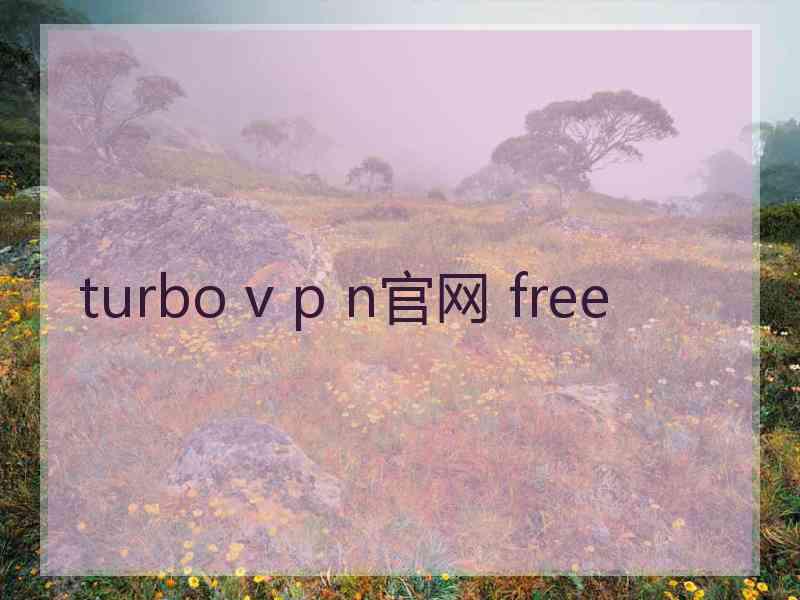 turbo v p n官网 free