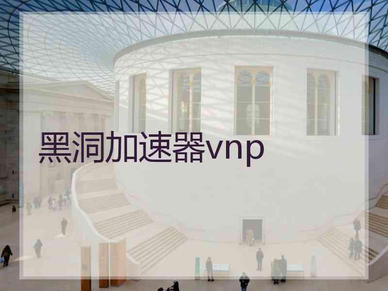 黑洞加速器vnp