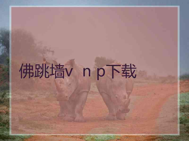 佛跳墙v  n p下载