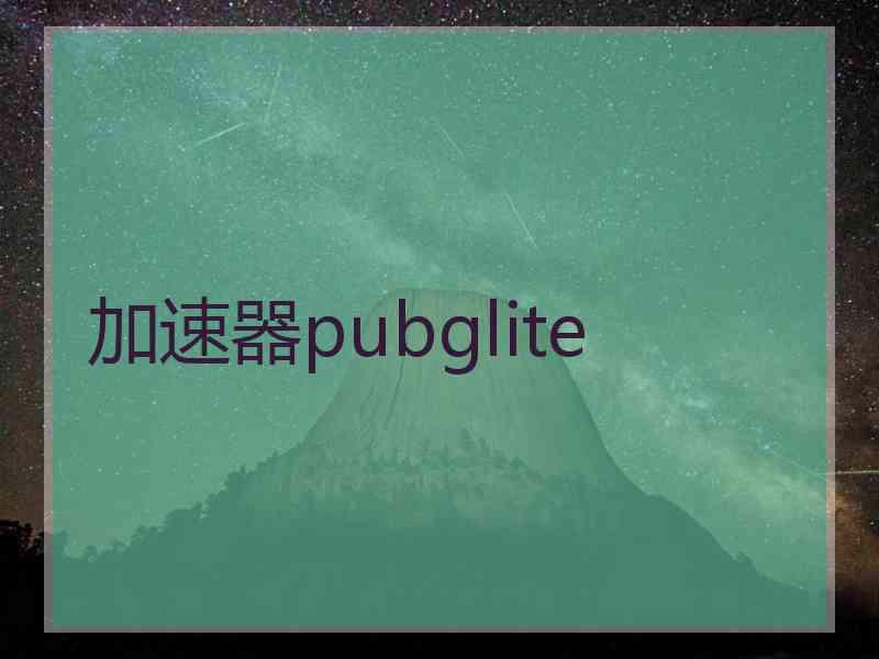 加速器pubglite