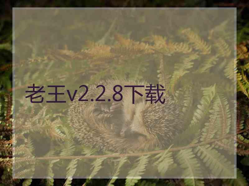 老王v2.2.8下载