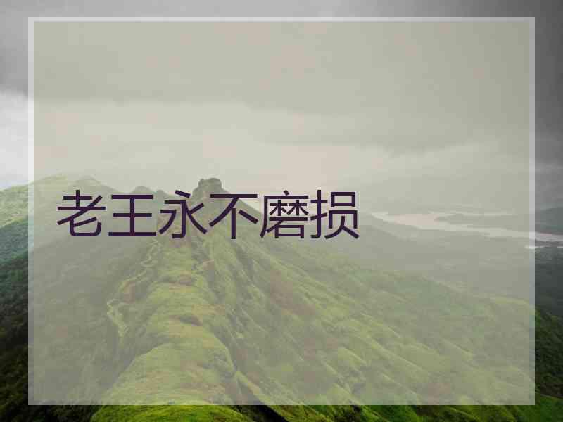 老王永不磨损