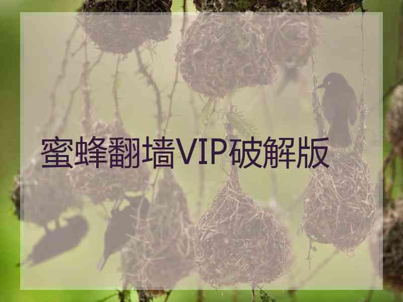 蜜蜂翻墙VIP破解版