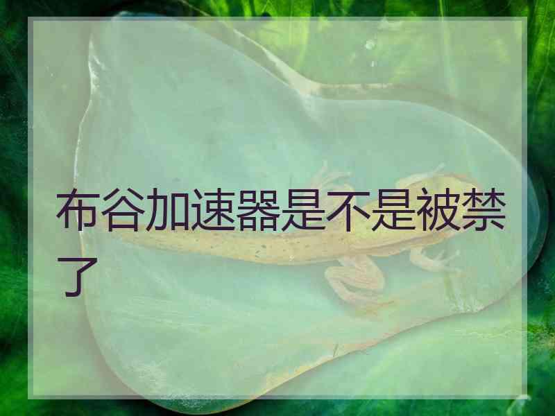 布谷加速器是不是被禁了