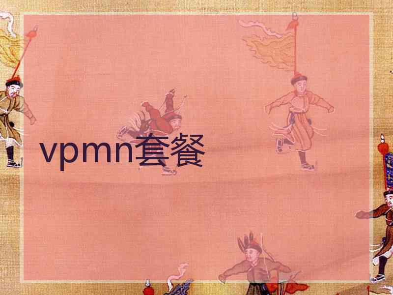 vpmn套餐