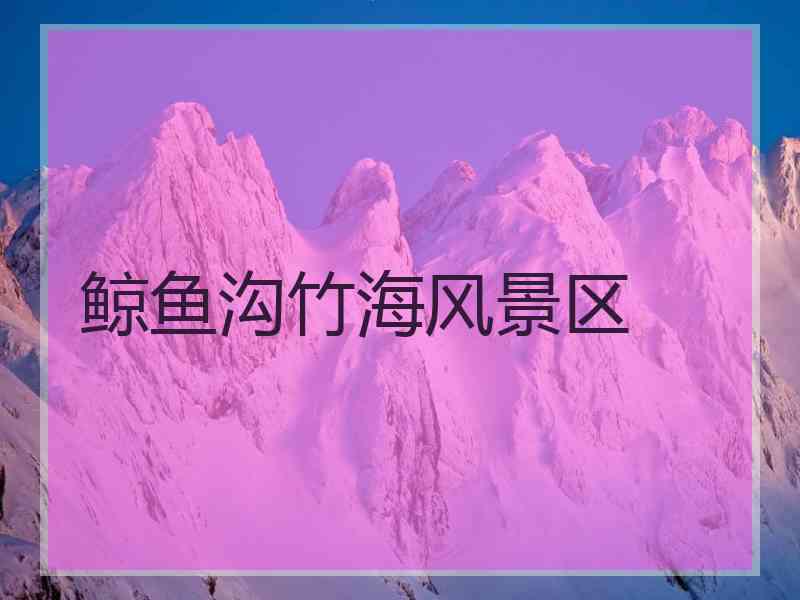 鲸鱼沟竹海风景区