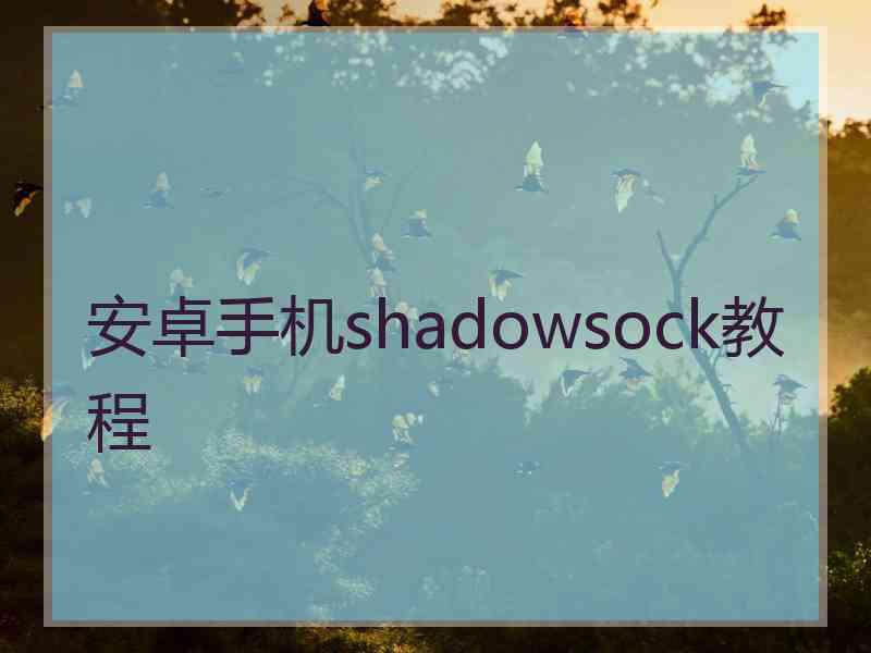 安卓手机shadowsock教程