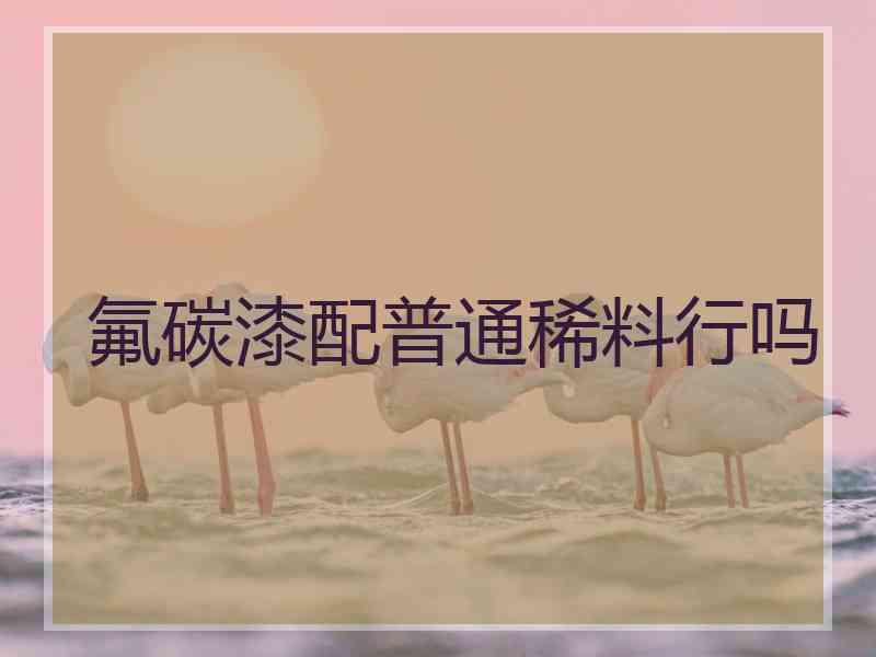 氟碳漆配普通稀料行吗