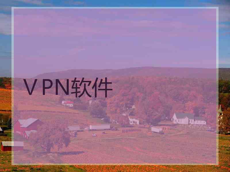 ⅤPN软件