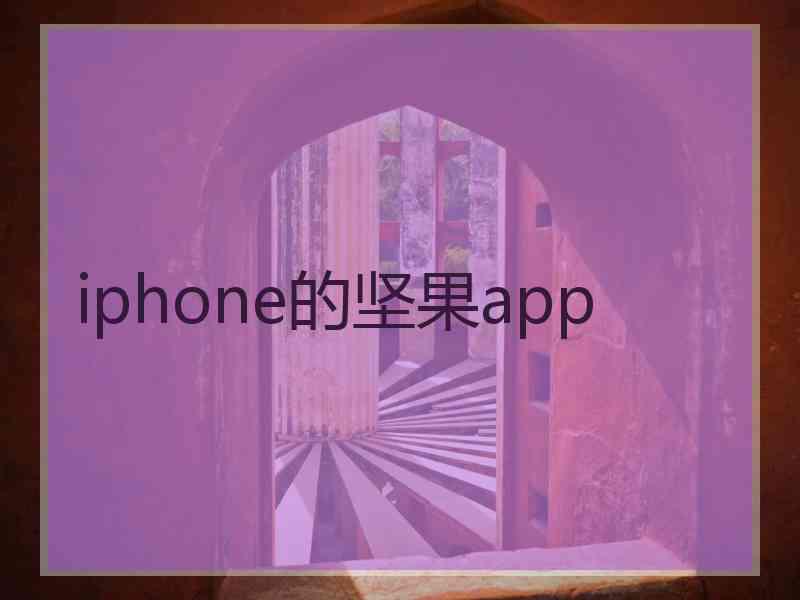 iphone的坚果app