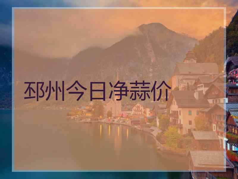 邳州今日净蒜价
