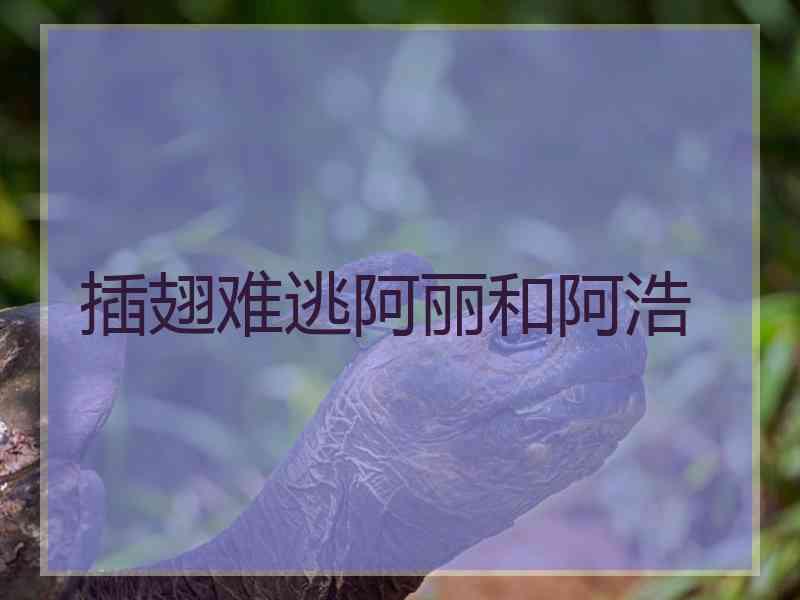 插翅难逃阿丽和阿浩