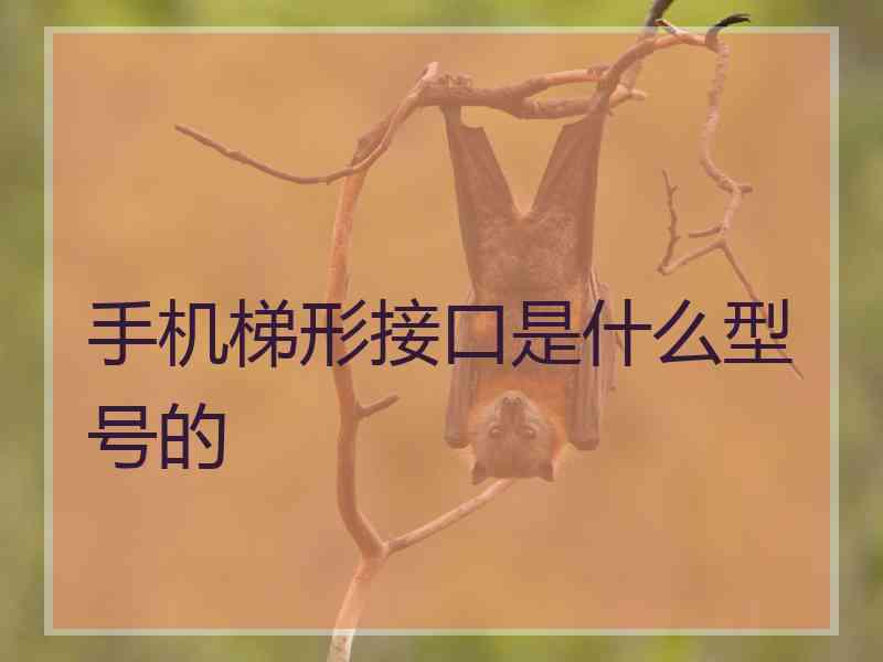 手机梯形接口是什么型号的