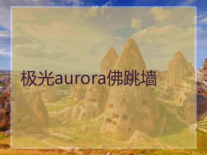 极光aurora佛跳墙