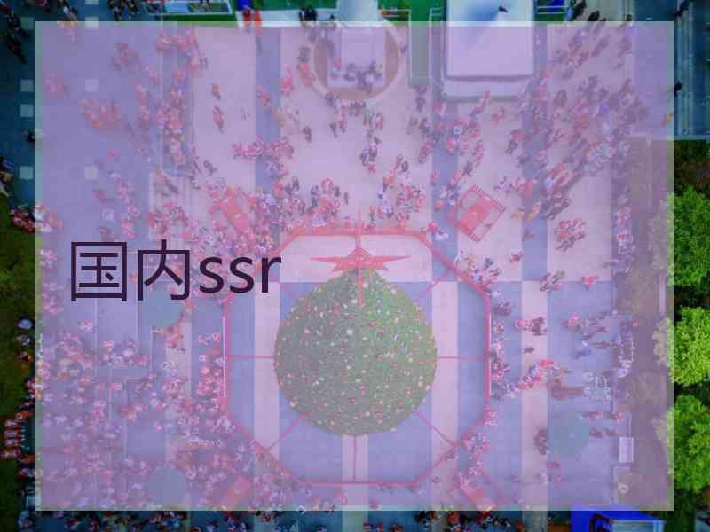 国内ssr