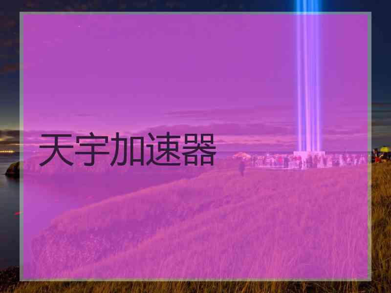 天宇加速器