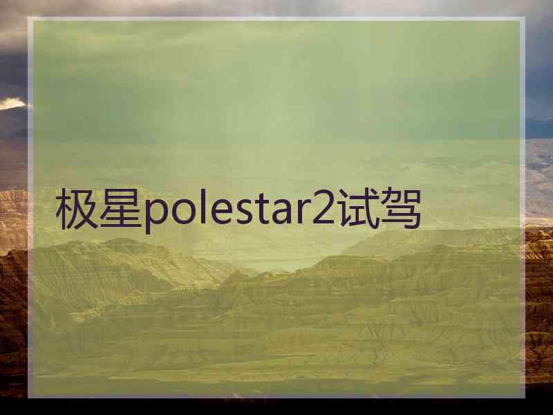 极星polestar2试驾
