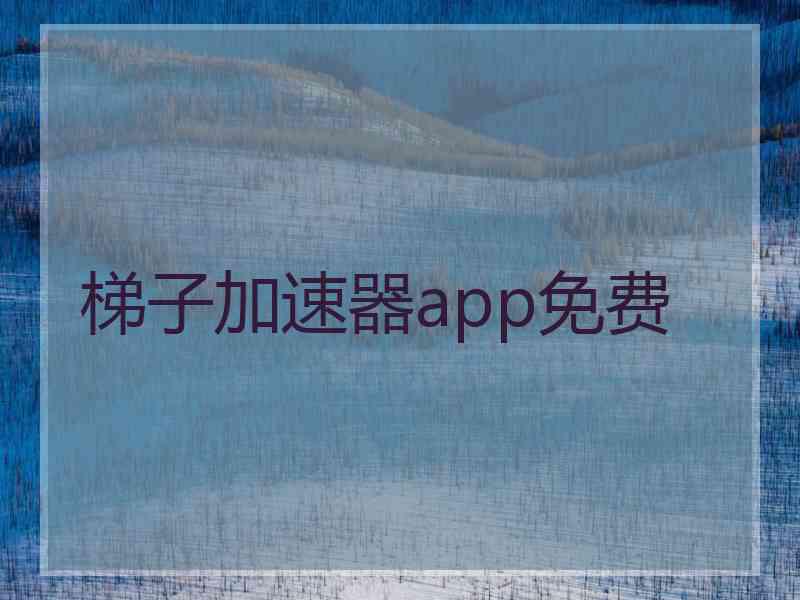 梯子加速器app免费