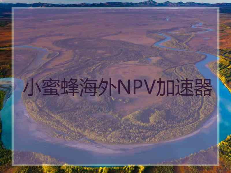 小蜜蜂海外NPV加速器