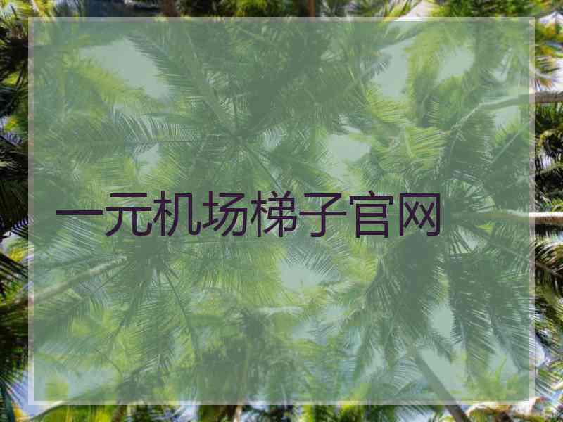 一元机场梯子官网