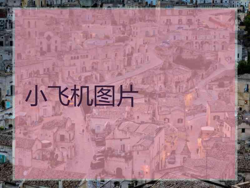 小飞机图片