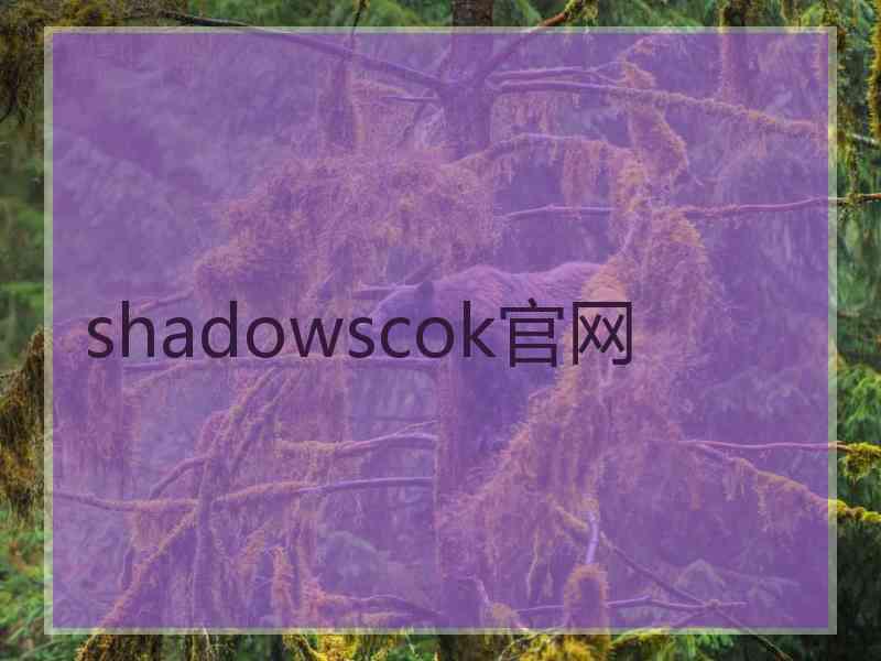 shadowscok官网