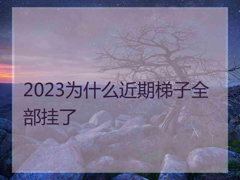 2023为什么近期梯子全部挂了