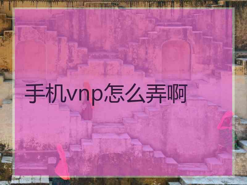 手机vnp怎么弄啊