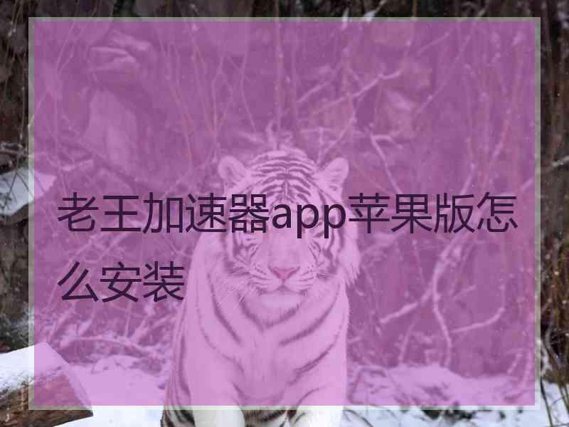 老王加速器app苹果版怎么安装