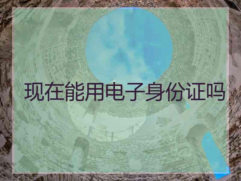 现在能用电子身份证吗