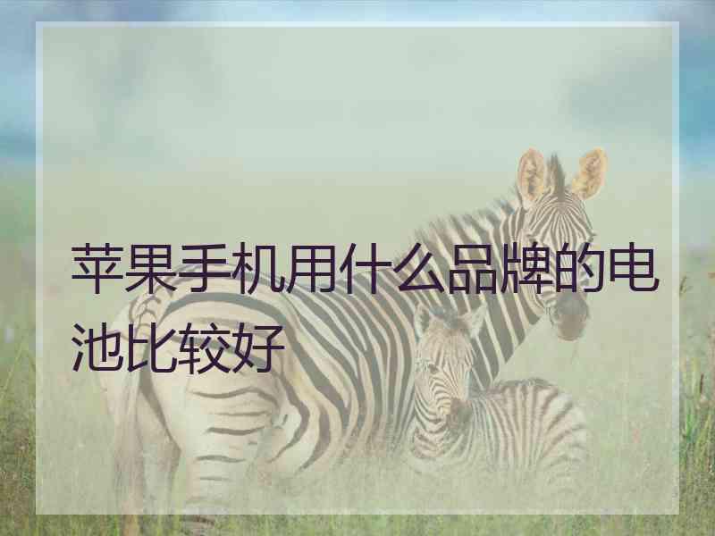 苹果手机用什么品牌的电池比较好