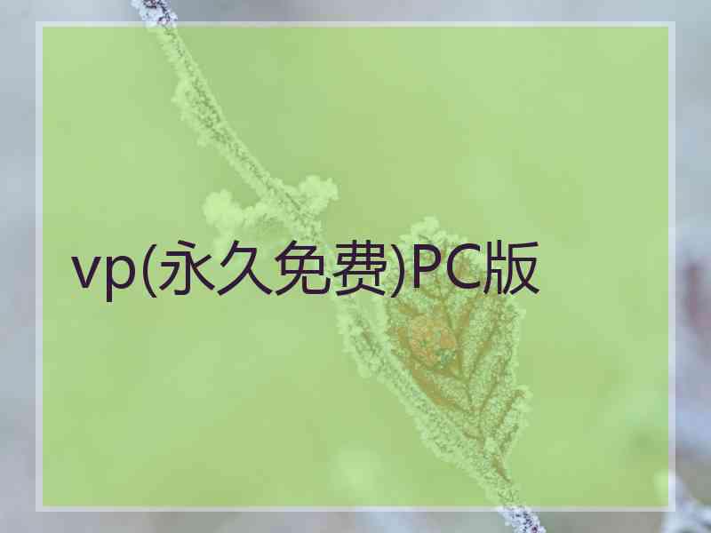 vp(永久免费)PC版