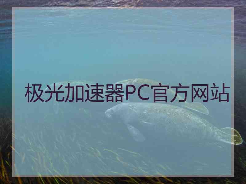 极光加速器PC官方网站