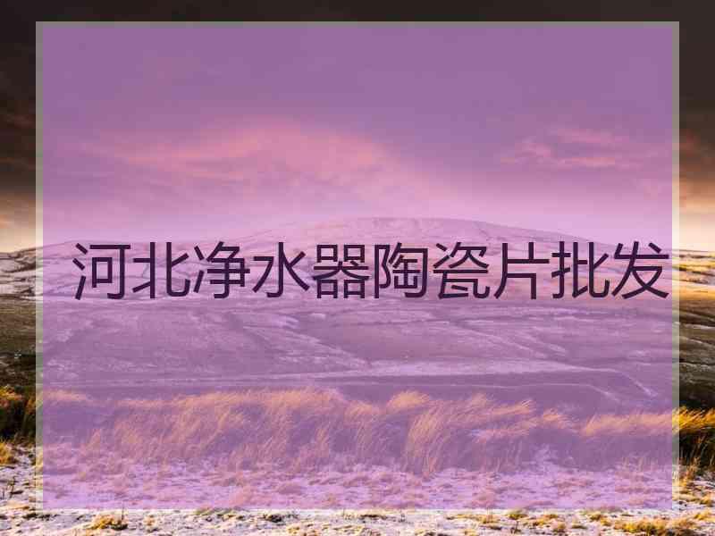 河北净水器陶瓷片批发