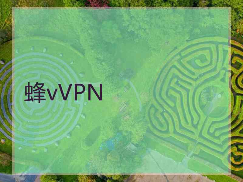 蜂vVPN