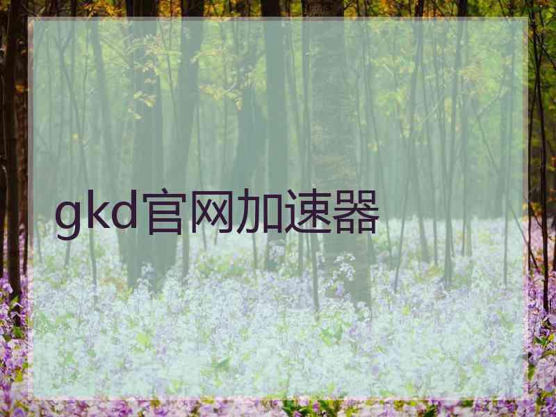 gkd官网加速器