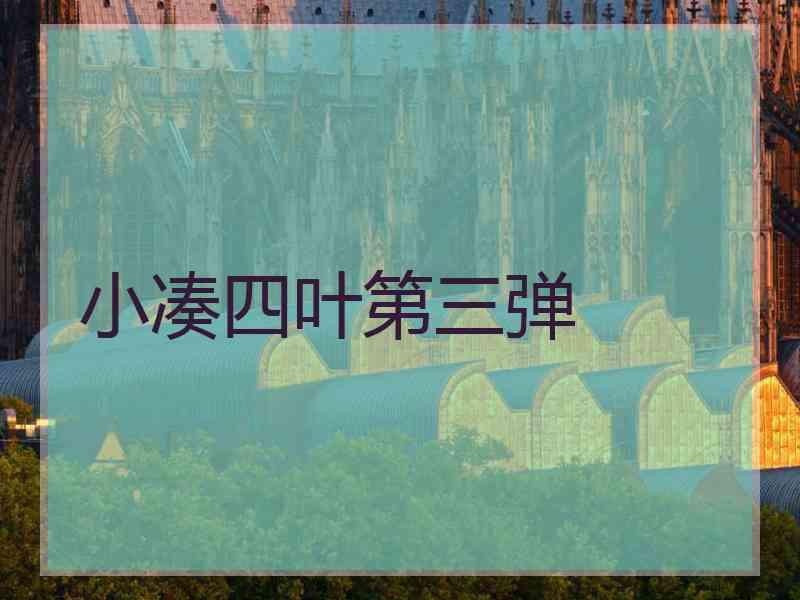 小凑四叶第三弹