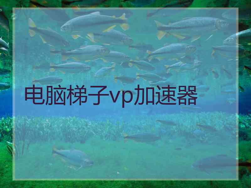 电脑梯子vp加速器