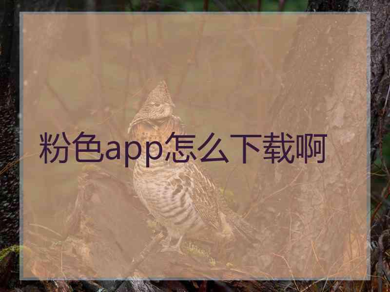 粉色app怎么下载啊