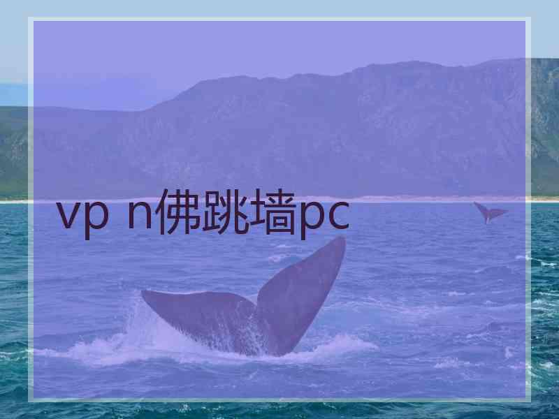 vp n佛跳墙pc
